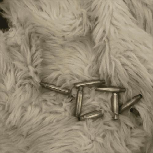 Cheetah Girl (feat. ogpra) [Explicit]