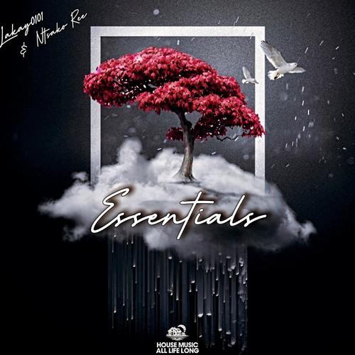 ESSENTIALS (feat. Ntsako Ree)