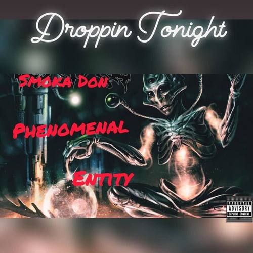 Phenomenal Entity