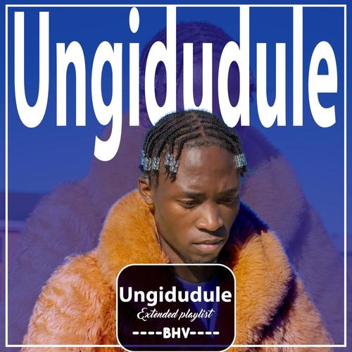 Ungidudule