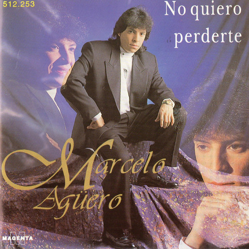 No Quiero Perderte