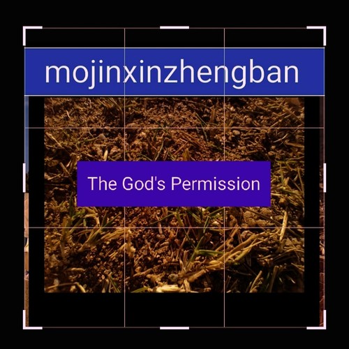 The God's Permission