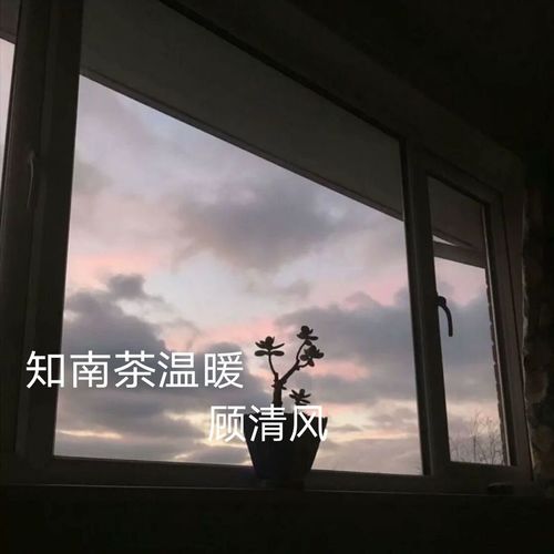知南茶温暖