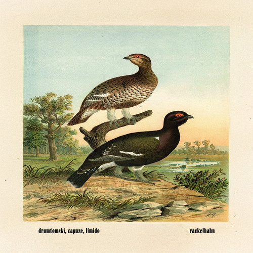 Rackelhahn (Explicit)