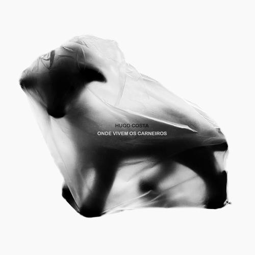 Onde Vivem os Carneiros