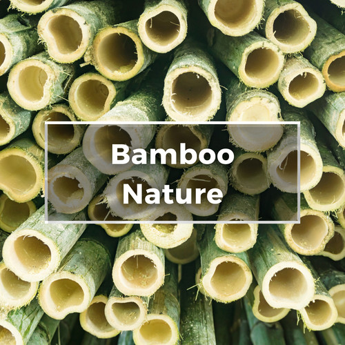 Bamboo Nature Flute