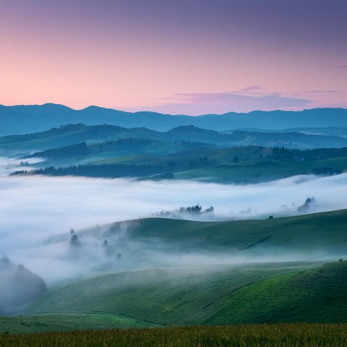 Meditación Rítmica: Sesiones Tonales Tranquilas