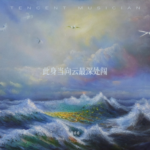 此身当向云最深处闯