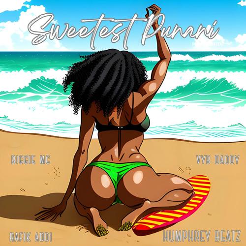 Sweetest Punani (feat. Biggy Mc, Rafik Addi & Vyb Daddy)