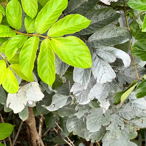 用爱去点亮不亮