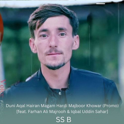 Duni Aqal Hairan Magam Hardi Majboor Khowar (Promo)
