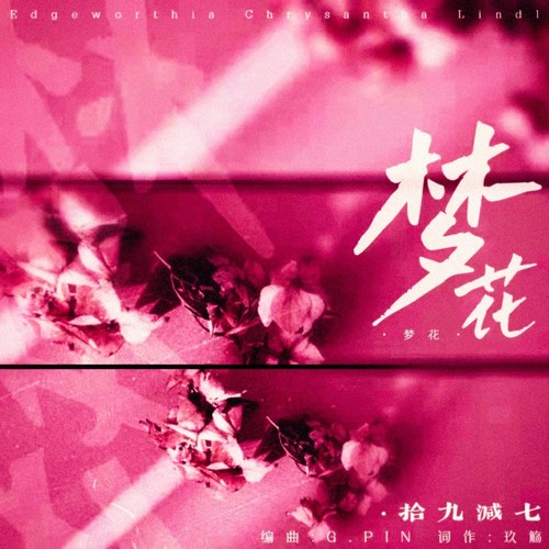 梦花