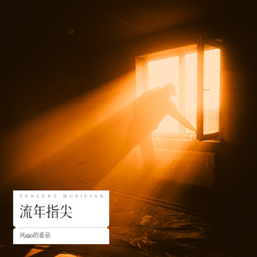 流年指尖