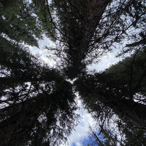 washed.up. (Explicit)