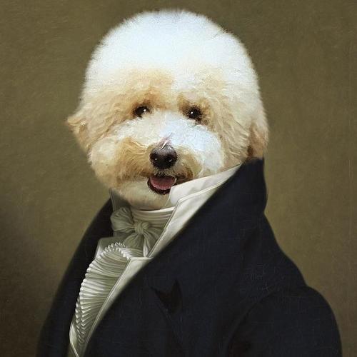 马儿丁儿的歌儿