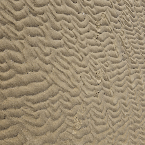 Making Waves