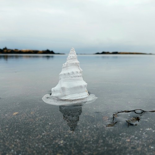 Himnalag (feat. Slow Shiver)