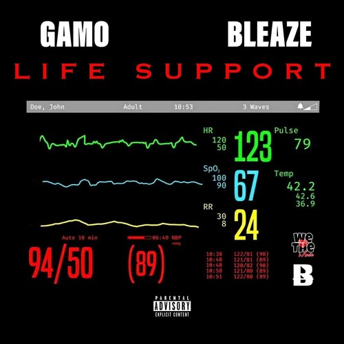 Life Support (feat. Bleaze) [Explicit]
