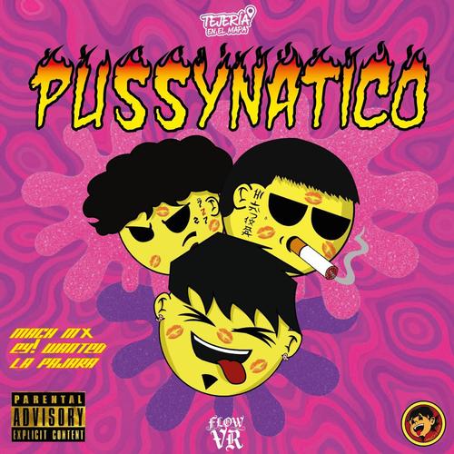 PUSSYNATICO (feat. EYWANTED & La Pajara) [Explicit]