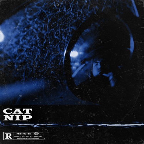 Cat Nip (Explicit)