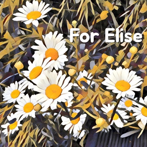 For Elise (Fur Elise) Beethoven Classic