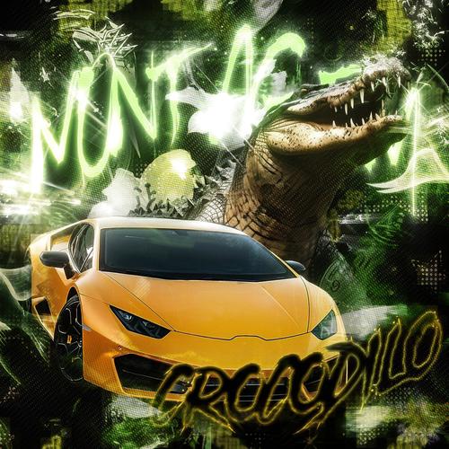 MONTAGEM CROCODILO