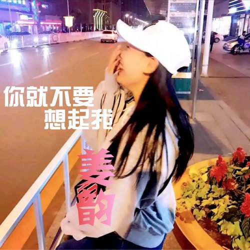 你就不要想起我