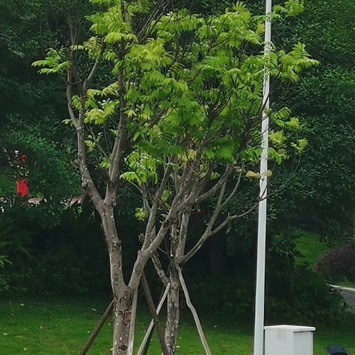 经典粤语歌曲