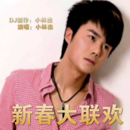 2016中文DJ舞曲串烧 群星荟萃大合集