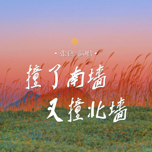 撞了南墙又撞北墙