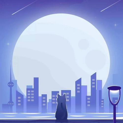 Moonlit View