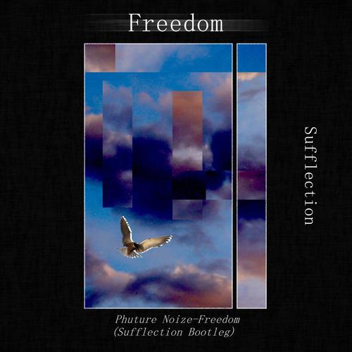 Phuture Noize-Freedom(Sufflection Bootleg)