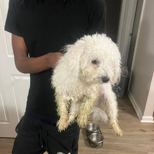 45 strike (feat. Y3N, T20slick, 5xide & StrongManshaka) [Explicit]