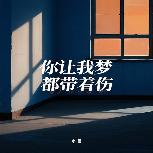 你让我梦都带着伤