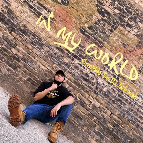 In My World (Radio Edit) [Explicit]