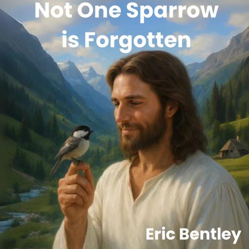 Not One Sparrow is Forgotten