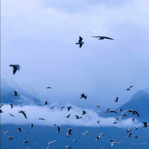 时间是一面镜子