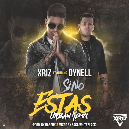 Si no estas (feat. Dynell) (Remix)