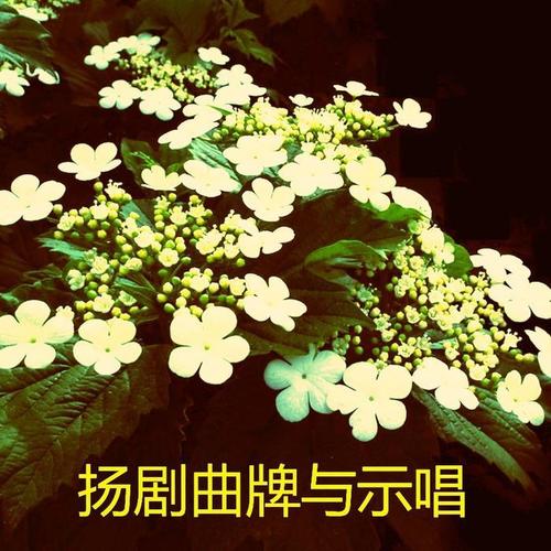 扬剧音乐曲牌与唱腔范例