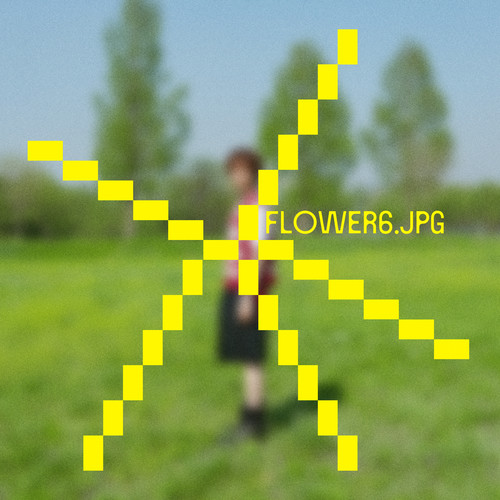 꽃6.jpg (Flower6.jpg)