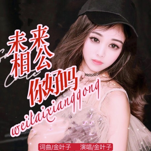 未来相公你好吗（DJ舞曲版)