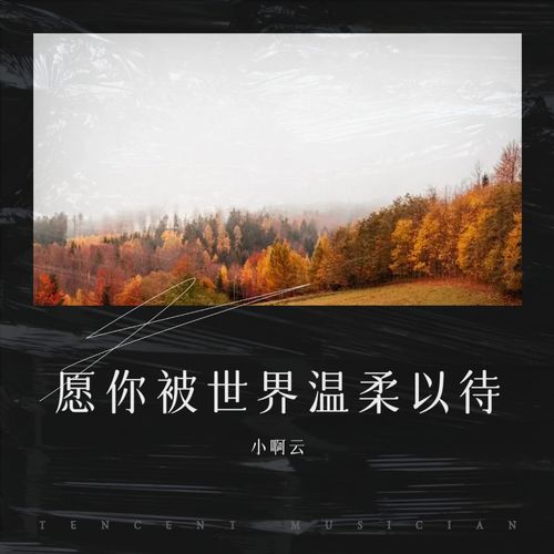 愿你被世界温柔以待 翻唱