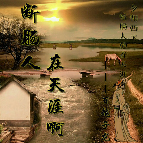 断肠人在天涯啊