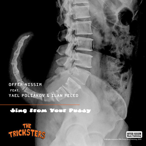 Sing From Your *****: The Tricksters (Explicit)