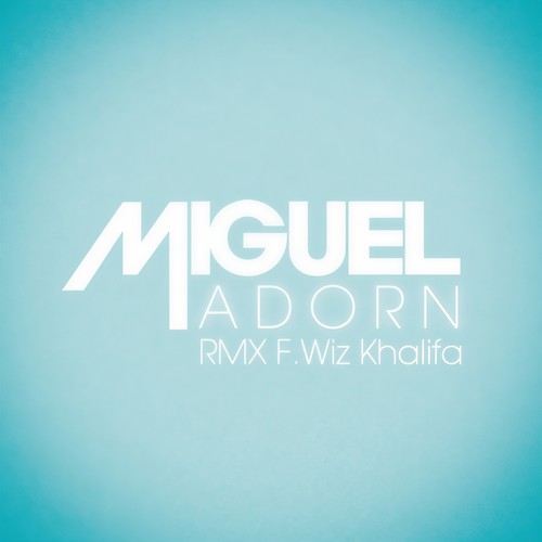 Adorn (Remix) [Explicit]