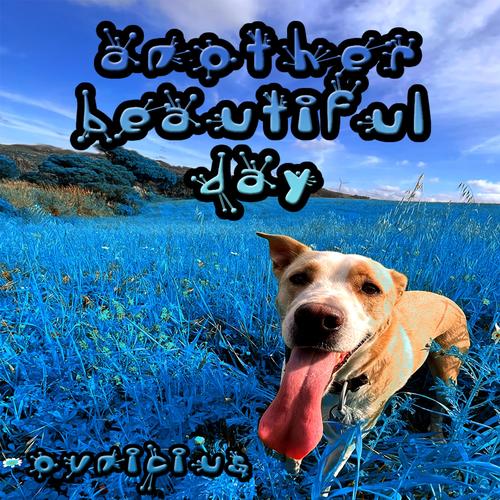 Another Beautiful Day