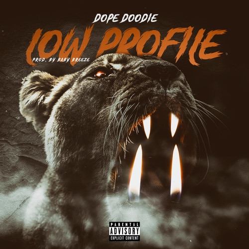 Low Profile (Explicit)