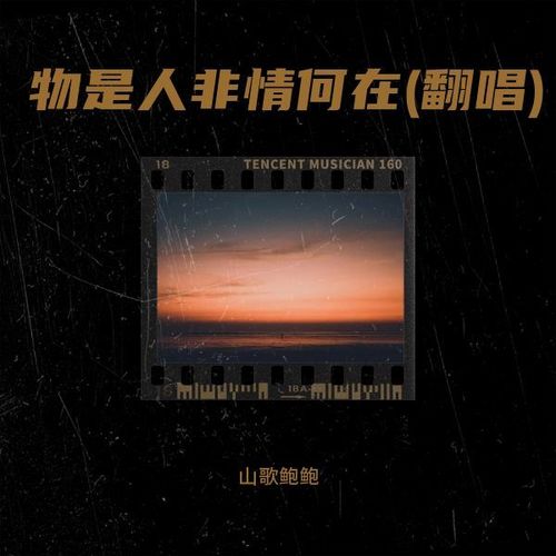 物是人非情何在(翻唱)