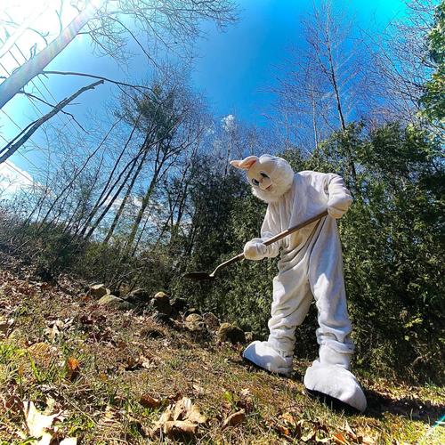White Rabbit