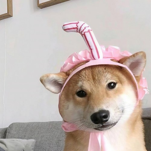 乱